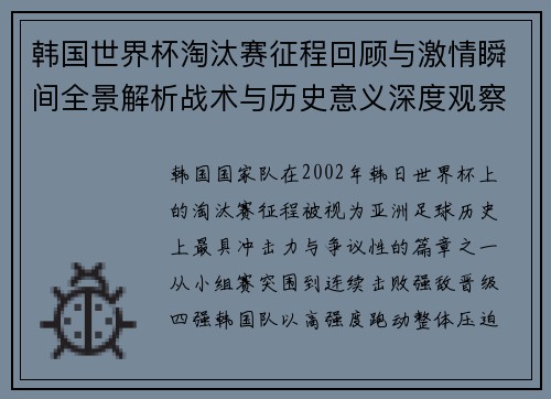 韩国世界杯淘汰赛征程回顾与激情瞬间全景解析战术与历史意义深度观察